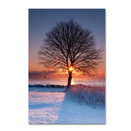 Michael Blanchette Photography 'Sun In Tree' Canvas Art,12x19